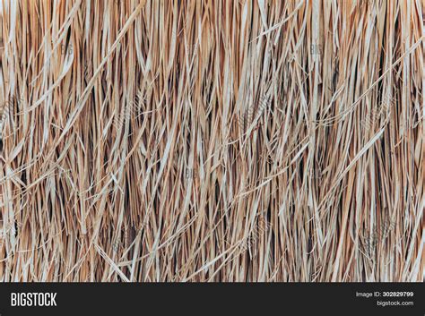 Thatched Roof Texture