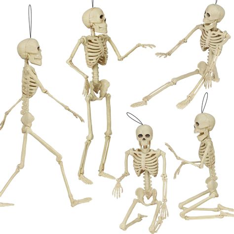 Widousy 5 Pack Halloween Skeleton Full Body Posable Halloween Skeleton