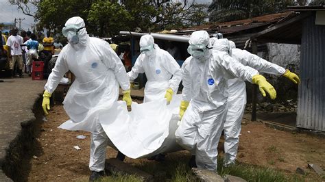 Ebola 2014 File2014 Ebola Virus Epidemic In West Africasvg Wikipedia