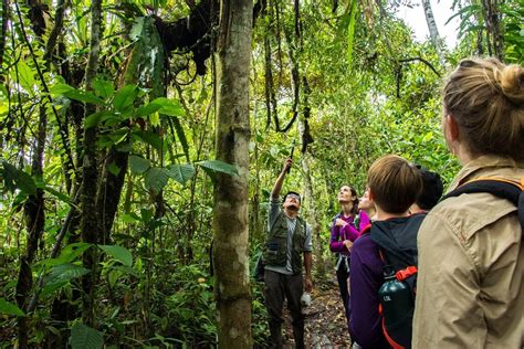 diverse people living in a biodiverse rainforest