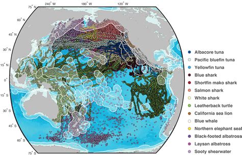 Smithsonian And Partners Map Extensive Transnational And High Seas