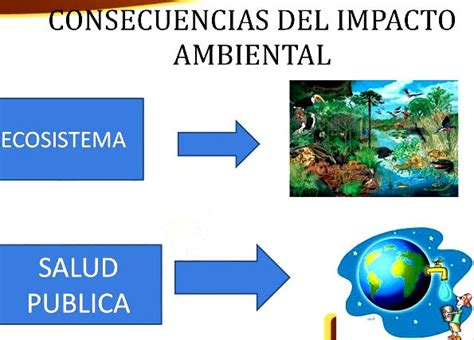 Cuáles son las consecuencias del impacto ambiental Blog didáctico