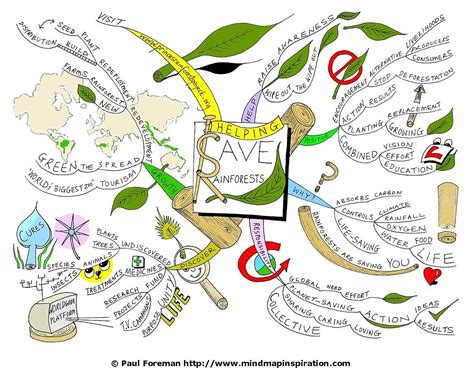 Helping Save Rainforests Mind Map Mind Map Inspiration