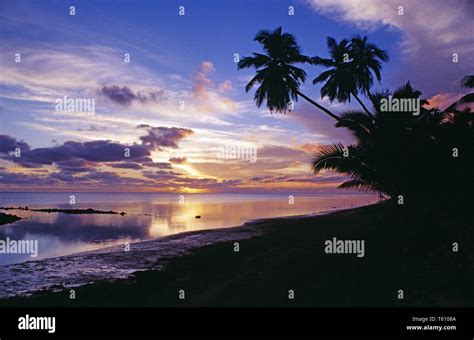 Cook Islands Aitutaki Tropical Beach Sunset With Coconut Palm Trees