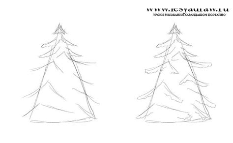 როგორ დავხატოთ ნაძვის ხე თოვლში ყველაფერი ტატუს შესახებ