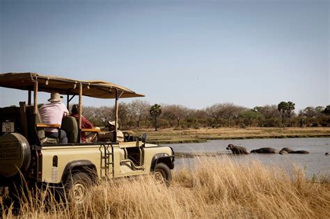 How Tanzania Safari Tours Can Help Me In Exploring The Blending Of
