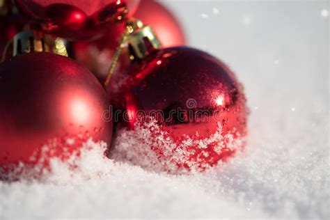 Christmas Ball In Snow Stock Image Image Of Glass Season 63064923