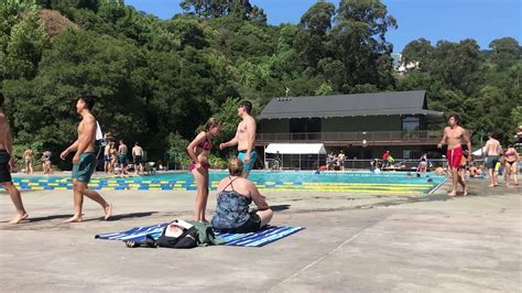 Swimmers React To Fecal Contamination Announcement At Berkeley Pool