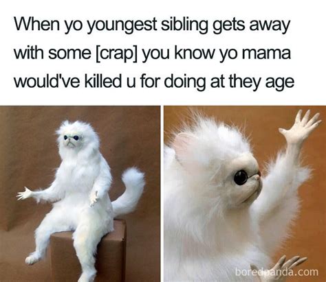 30 Best Sibling Memes True Siblings Would Relate To Small Joys