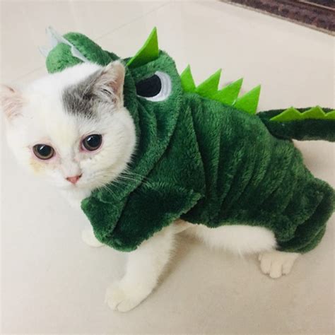 Cute Pet Cat Dragon Costume Winter Warm Clothes For Cats Dogs Clothing