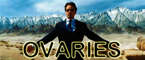Robert Downey Jr Ovaries  Find And Share On Giphy