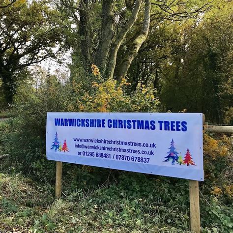 Warwickshire Christmas Trees Shenington Oxfordshire Ox15 6np