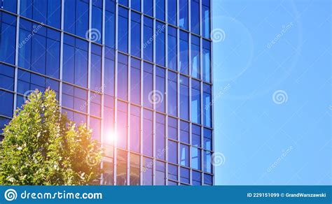 Eco Architecture Green Tree And Glass Office Building Stock Image