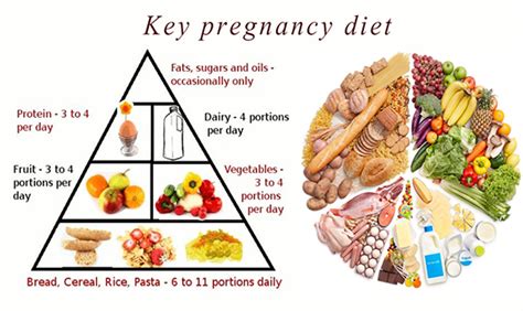 Best Gynaecologist In Gurgaon Pregnancy Diet Chart