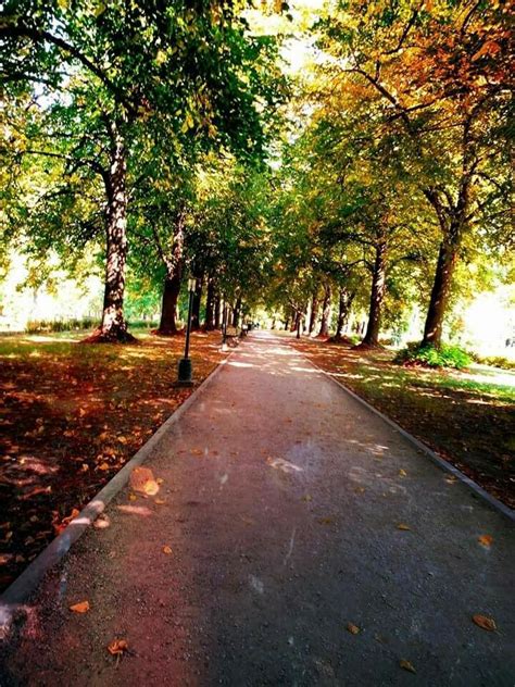 We have reviews of the best places to see in zamosc. Zamojski Park jesienią #Zamość #zamosc #park #jesień # ...