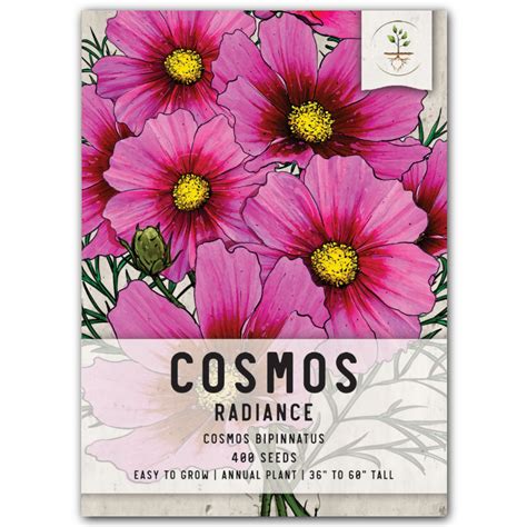 Radiance Cosmos Seeds For Planting Cosmos Bipinnatus Seed Needs