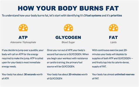 How Your Body Burns Fat Video Private Label Fitness Branded Fitness Fitness Marketing