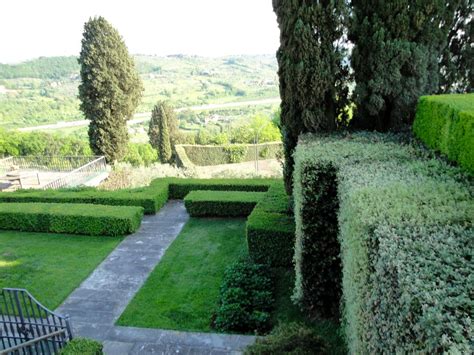 Villa Il Roseto Firenze Живая изгородь Изгороди
