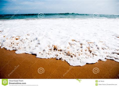 Foamy Wave On Beach Sand Stock Image Image Of Sand Wild 38778545