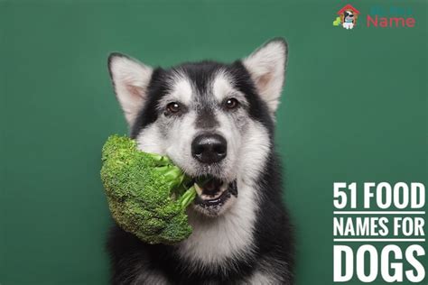 We did not find results for: 51 Food Names for Dogs: Tasty & Delicious Names For Furry ...