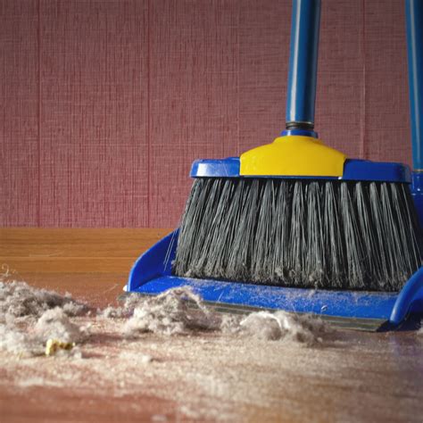 Nettoyez Régulièrement Votre Maison Pour Réduire La Poussière Et Les