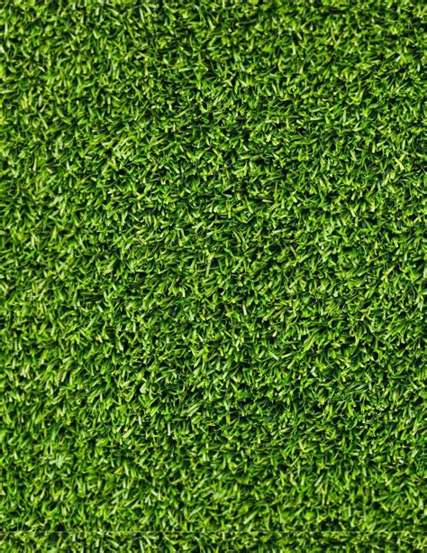 Grass Texture D Google Da Ara Grass Textures Grass Seamless