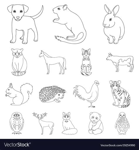 Realistic Animals Outline Icons In Set Collection Vector Image