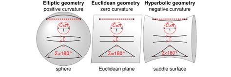 Graphical Illustration Of The Properties Of Euclidean And Non Euclidean