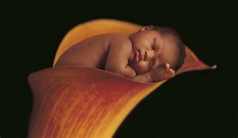 Miracle By Anne Geddes Sweety Babies Photo 40154102 Fanpop