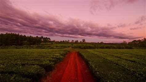 Download Wallpaper 3840x2160 Path Field Grass Sunset Sky Clouds 4k