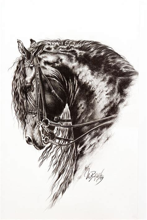 Friesian Horse Drawing By Art Imago Fine Art America