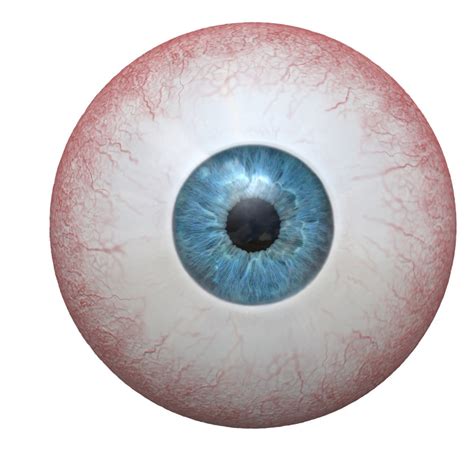 3d Photorealistic Human Eye Colors Model Turbosquid 1166958