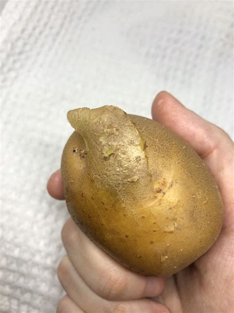 White Area Under Potato Peel