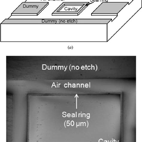C Sam Image Of Wafer Pair After Cu To Cu Thermo Compression Bonding Download Scientific