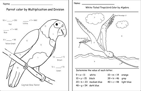 Find this pin and more on drawing & coloring worksheets by my teaching station. My Color by Number Bird Book Grades K-3, 8 Pages - Lyric ...