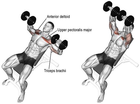 Looking for gym name ideas? Chest Exercises - Best Chest Exercises For Building Muscles