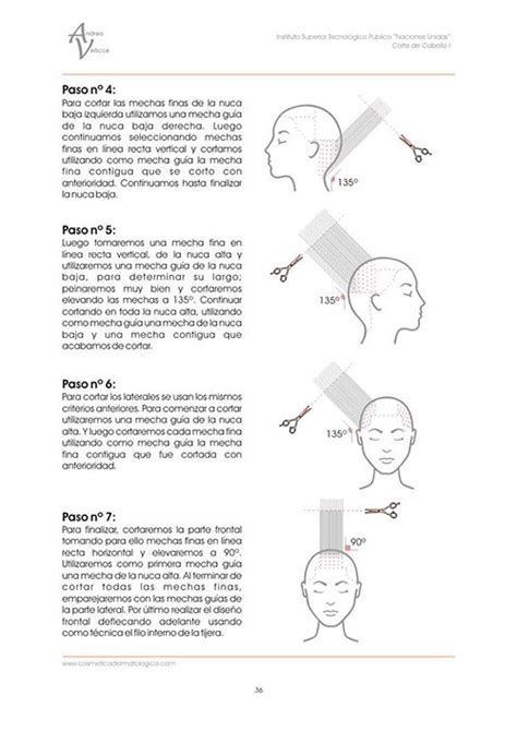 Guía completa de teoría de corte de cabello para hombres Teoría Online