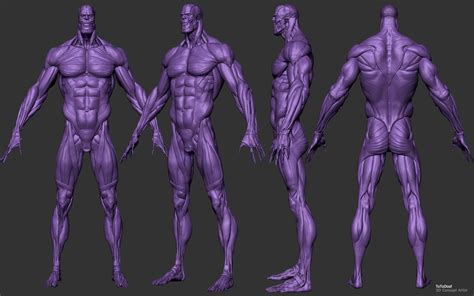 Artstation Thanos Muscle Toto Dost Man Anatomy Artwork Character