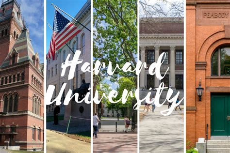 Follow us for the latest from the terrier community. Visiter le campus de l'université de Harvard | Le blog de ...