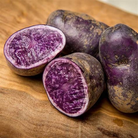 Purple Sweet Potato Seeds 100pcs Pack UrbanGardenSeed