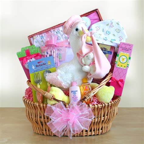 We did not find results for: Special Stork Delivery Baby Girl Gift Basket | www ...