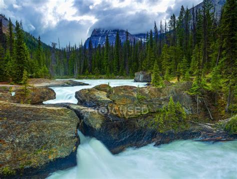 El Puente Natural Y El Río Kicking Horse Parque Nacional Yoho