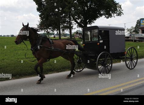 Typical Amish Carriage Know Buggy Lancaster County United States