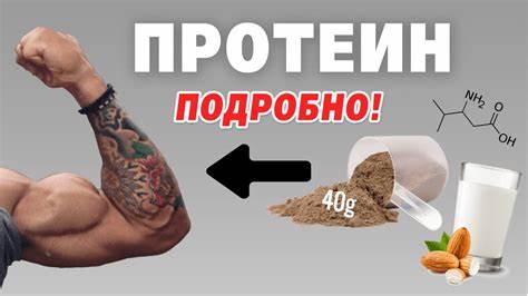 Жиросжигатели и протеин как принимать