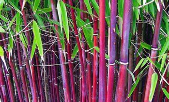 We did not find results for: Terrasse & Garten Deals & Gutscheine | Groupon