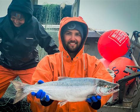 Sockeye Salmon Run In Bristol Bay Alaska Sets All Time Record
