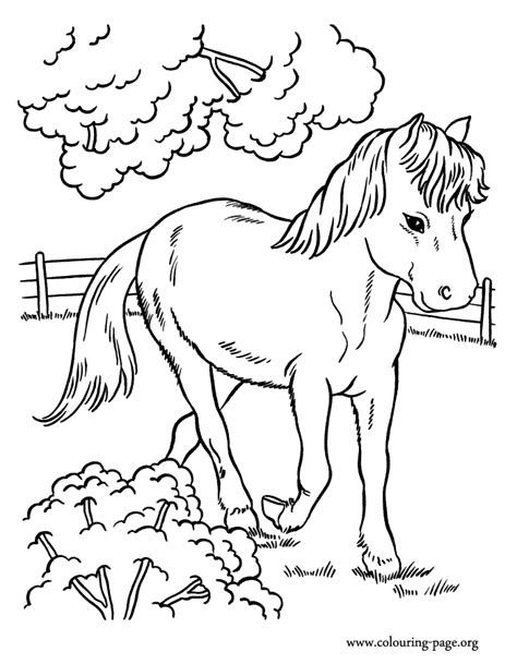 Explore 623989 free printable coloring pages for your kids and adults. How about coloring this beautiful picture of a horse ...