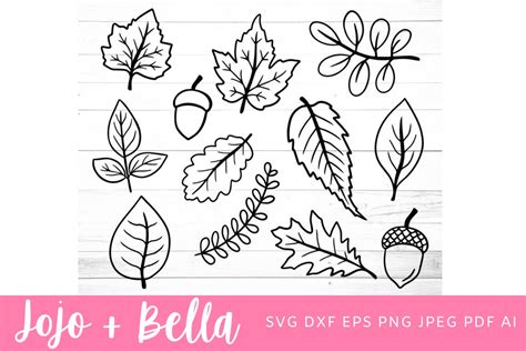 Fall Leaves Svg Leaves Svg Fall Svg 904722 Cut Files Design