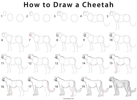 Easy cheetah drawings free image. How to Draw a Cheetah (Step by Step Pictures) | Cool2bKids ...