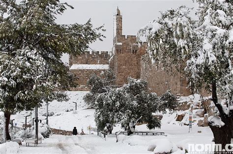 20 Spectacular Sights From The Israeli Winter And Spring Sights